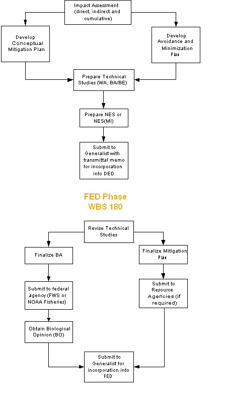 This flowchart provides information on how to prepare and review Biology projects.