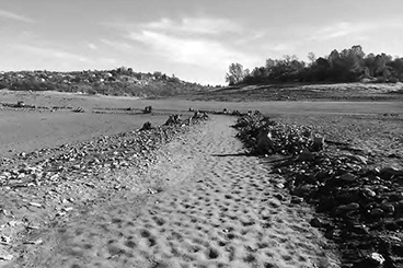 A black and white photo of Salmon Falls, El Dorado County, wagon road (ca. 1850s–1930) revealed during lower water in Folsom Lake, December 2014. Lined by rocks, the eastbound road curves toward the Sierra Foothills.