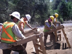 Cultural Resources Studies